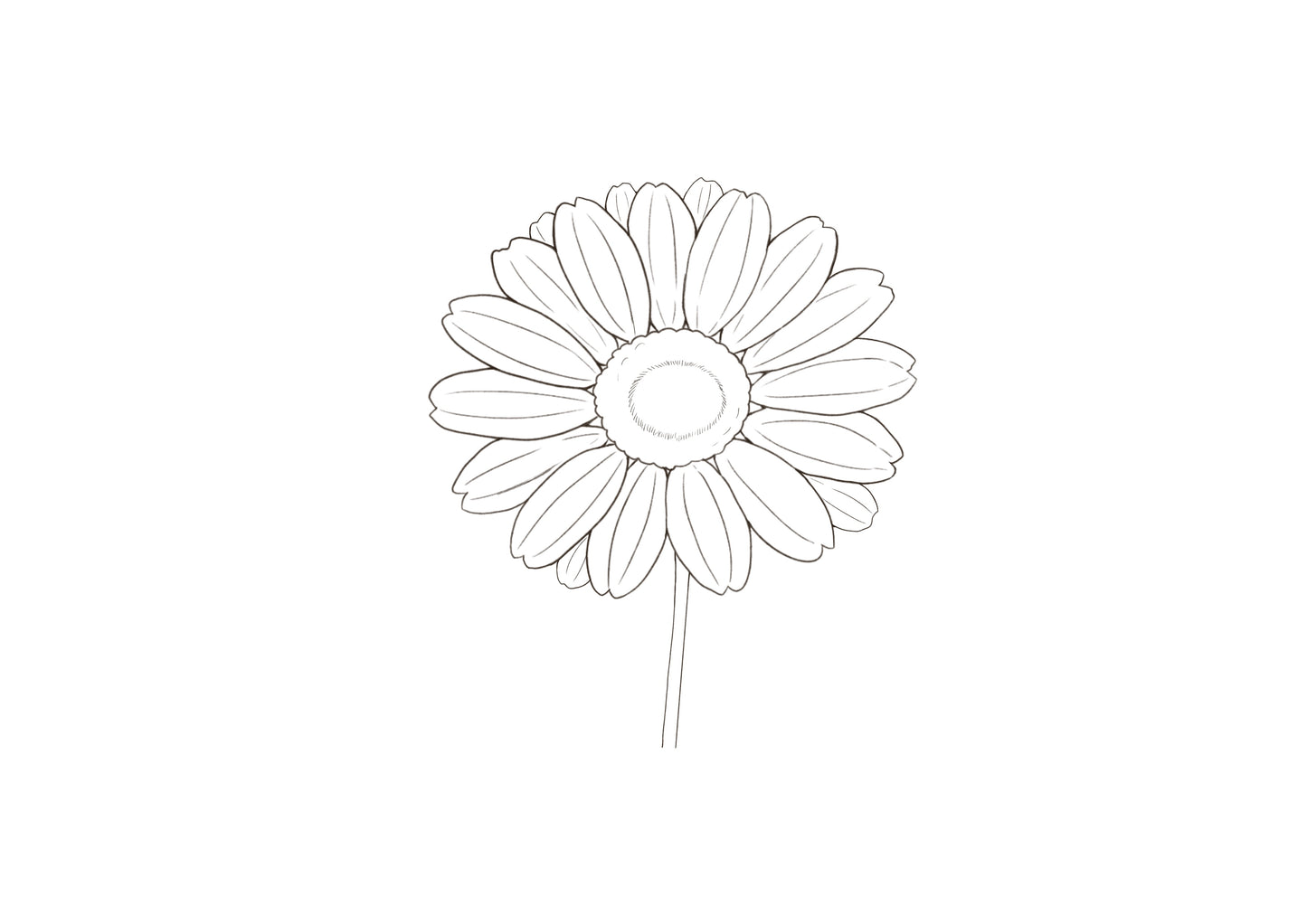 花の塗り方(練習用)