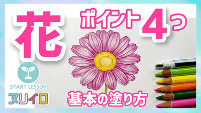 花の基本の塗り方