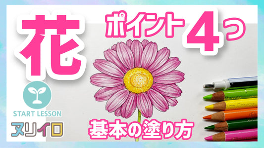 花の基本の塗り方