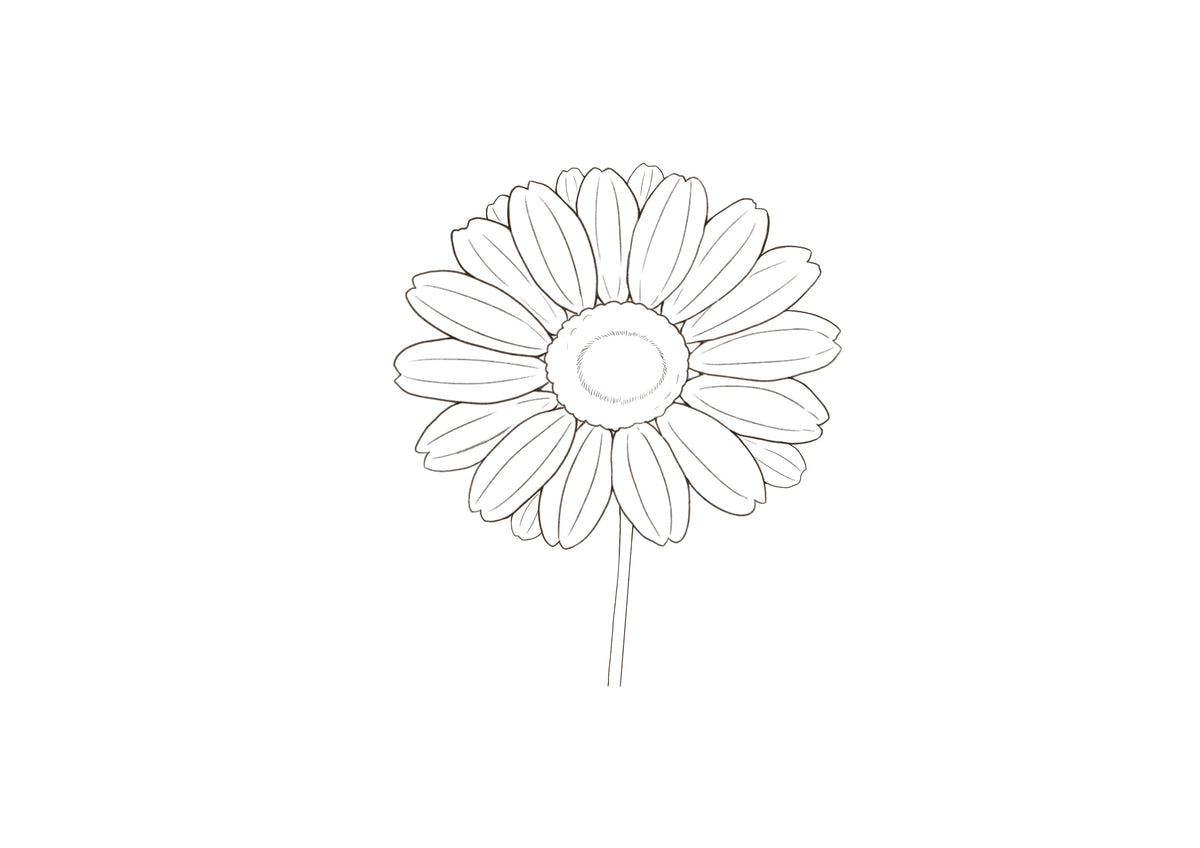 花の塗り方（練習用）