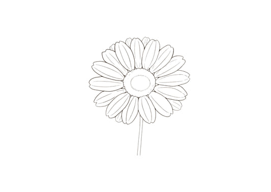 花の塗り方（練習用）