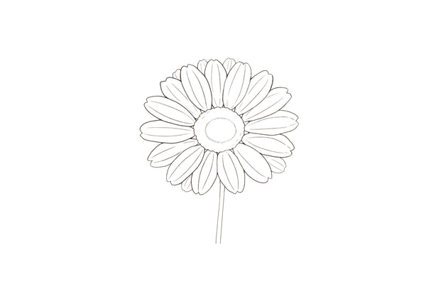 花の塗り方（練習用）